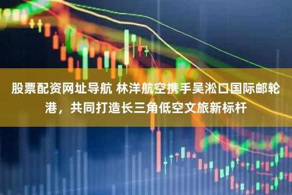股票配资网址导航 林洋航空携手吴淞口国际邮轮港，共同打造长三角低空文旅新标杆